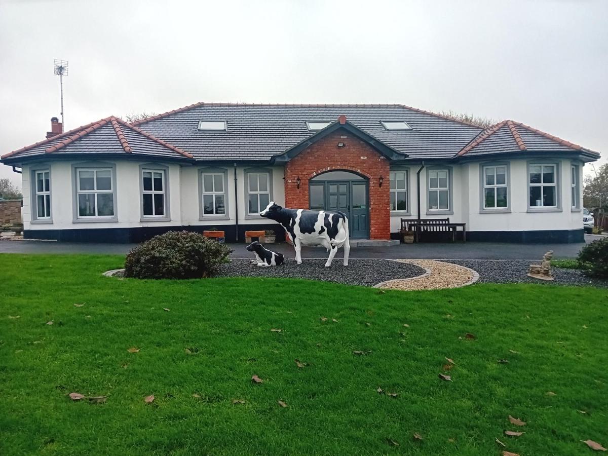 Creeghduff Lodge Downpatrick Exteriör bild