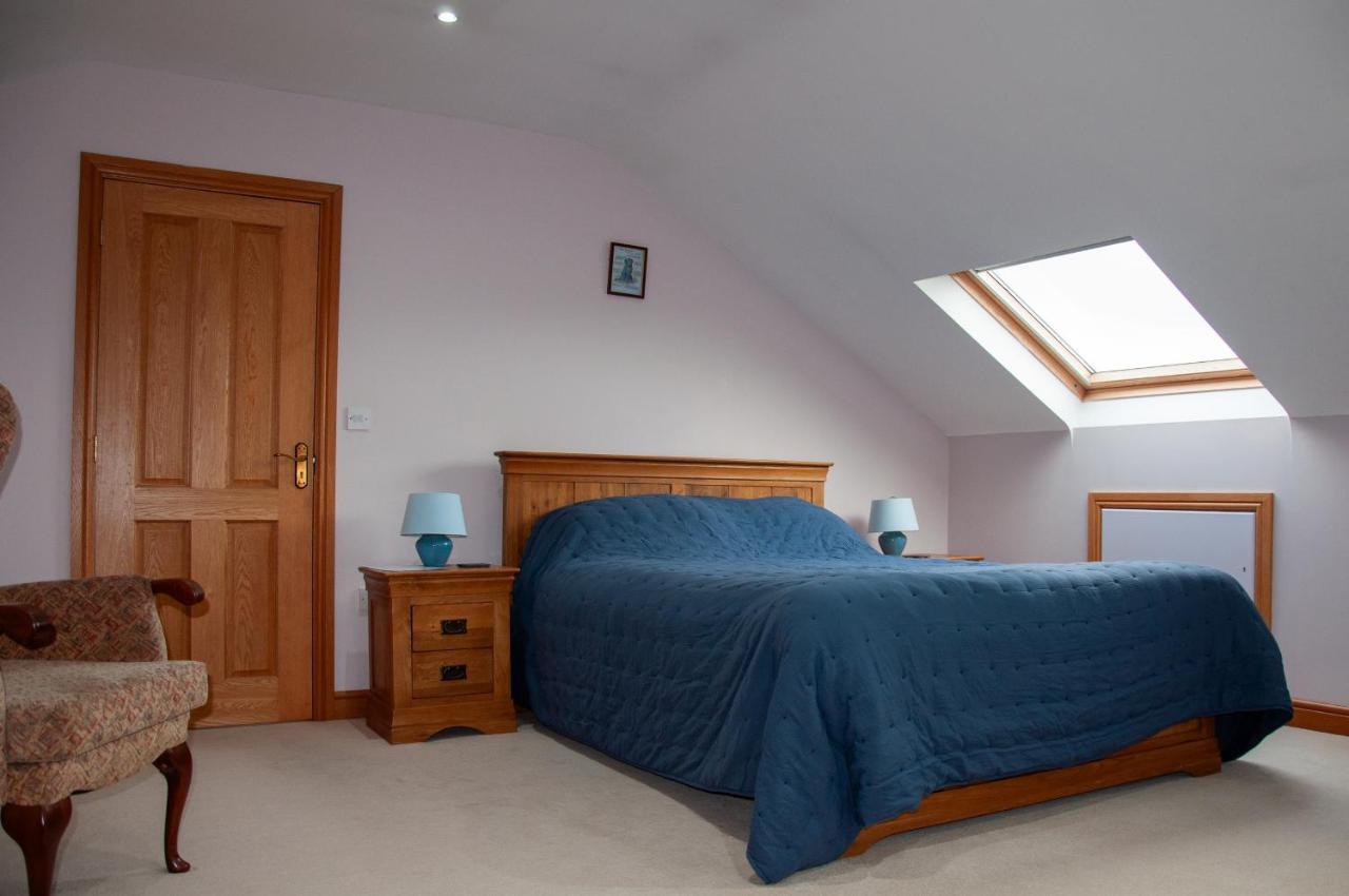 Creeghduff Lodge Downpatrick Exteriör bild